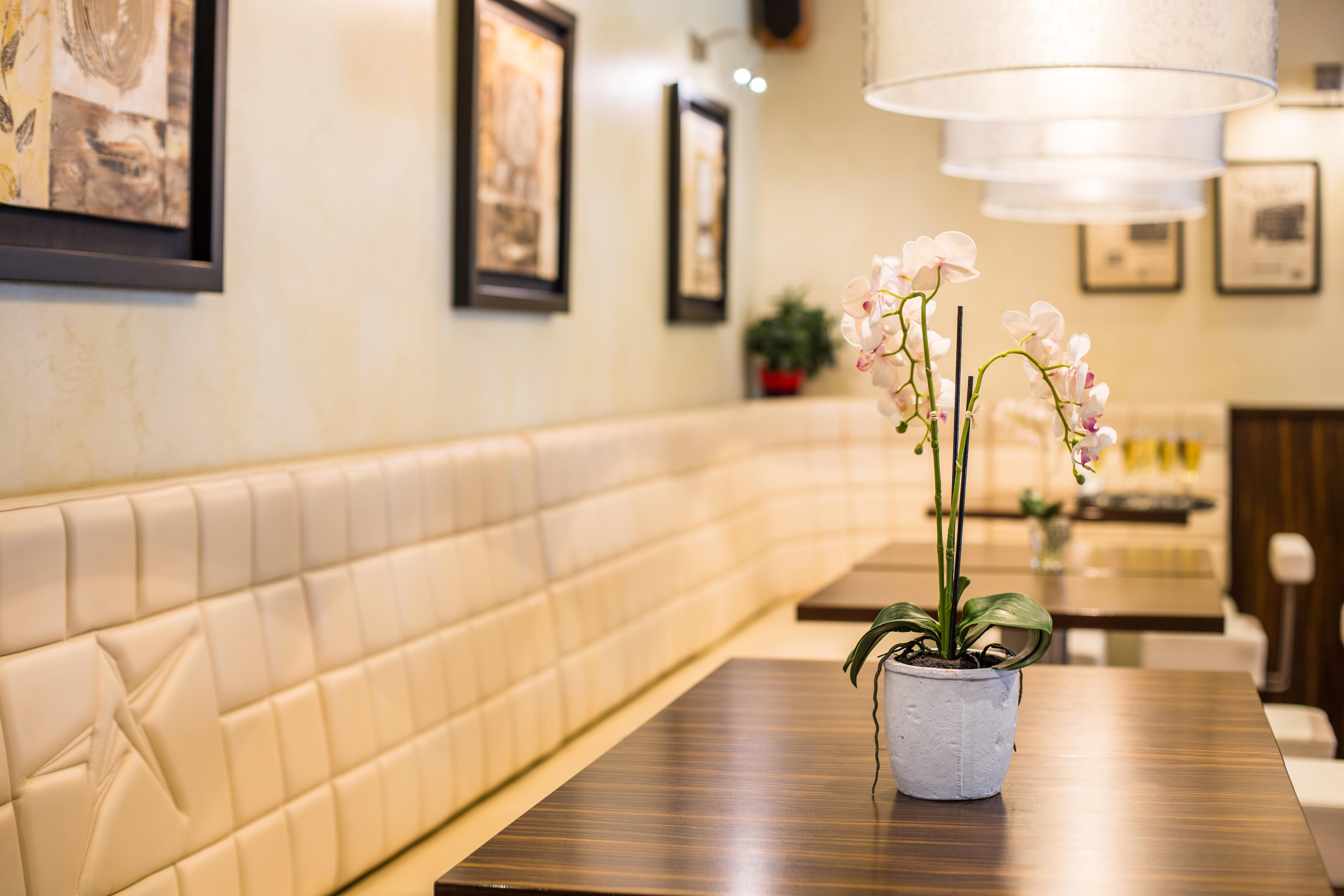 Hotell Avalon & Conferences 4*